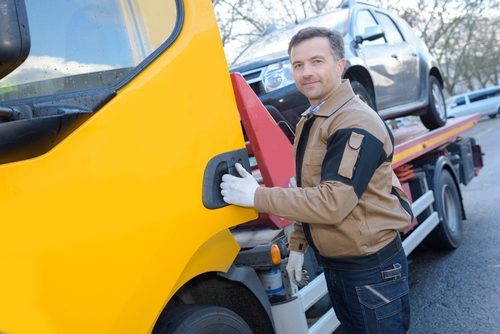 shutterstock_663541837-p-500 image 1